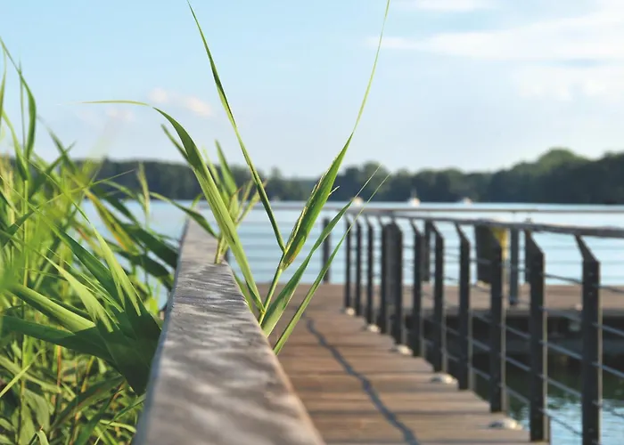 Renate In Der Seeblick Διαμέρισμα Bad Saarow